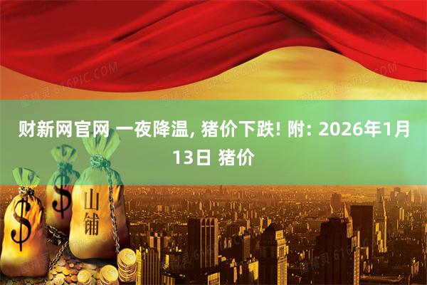 财新网官网 一夜降温, 猪价下跌! 附: 2026年1月13日 猪价