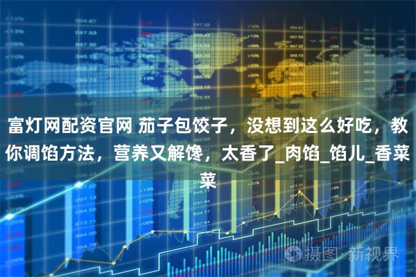 富灯网配资官网 茄子包饺子，没想到这么好吃，教你调馅方法，营养又解馋，太香了_肉馅_馅儿_香菜