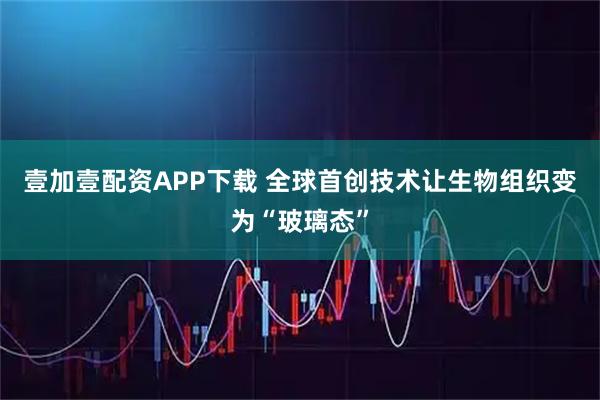 壹加壹配资APP下载 全球首创技术让生物组织变为“玻璃态”